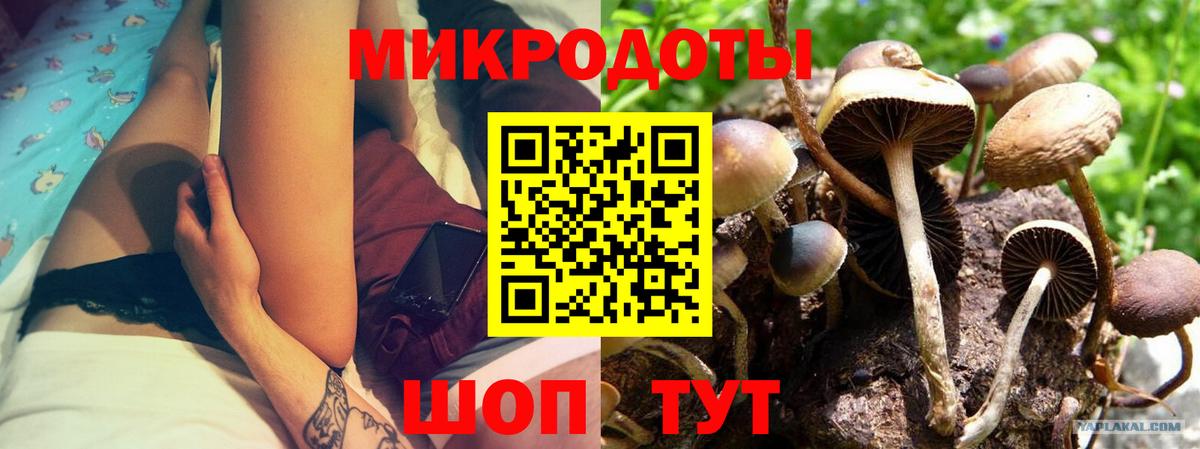 Галлюциногенные грибы прущие грибы  Вход с VPN  Новочебоксарск 
